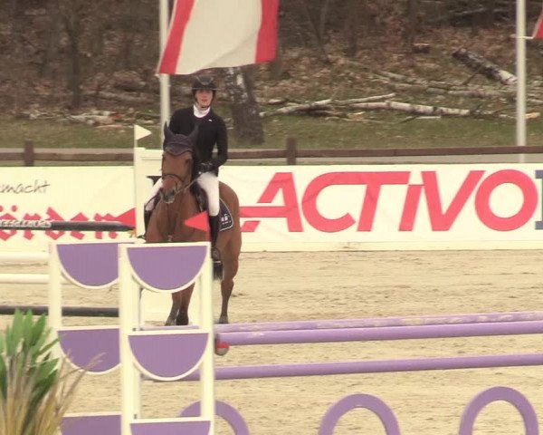Reitturnier Westergellersen 2021