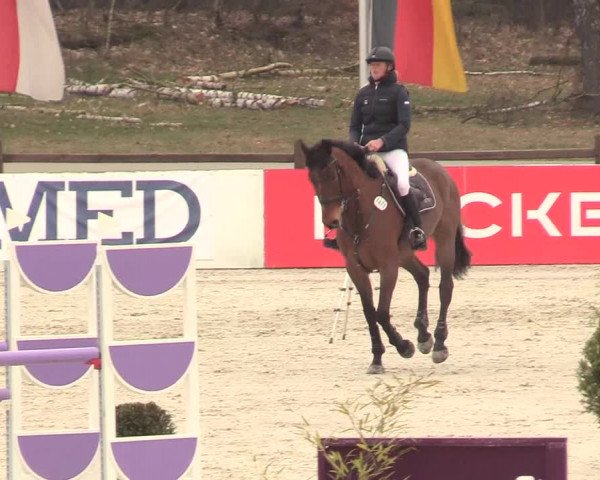 Reitturnier Westergellersen 2021