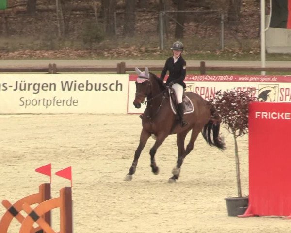 Reitturnier Westergellersen 2021