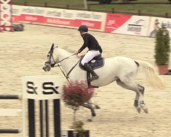 Reitturnier Westergellersen 2021