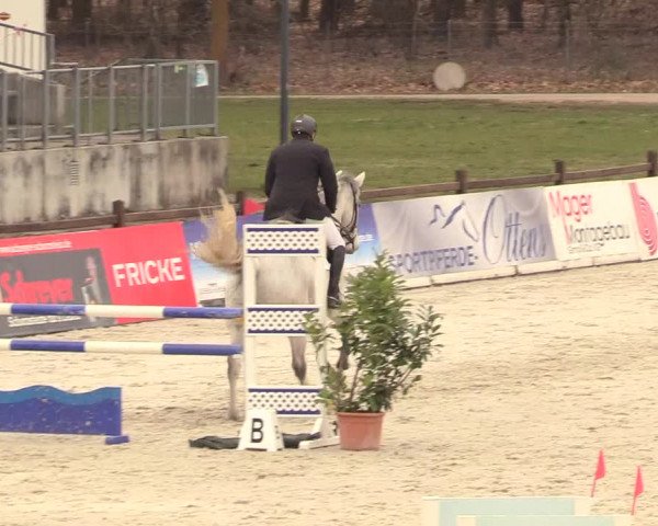 Reitturnier Westergellersen 2021