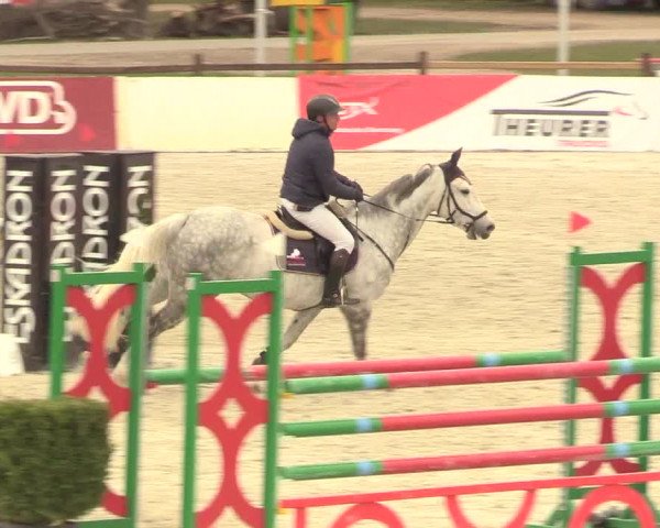 Reitturnier Westergellersen 2021
