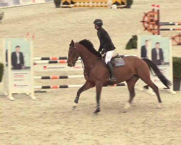 Reitturnier Westergellersen 2021