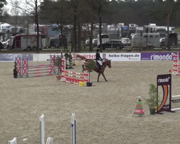 Reitturnier Westergellersen 2021