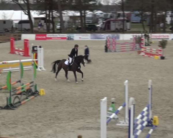 Reitturnier Westergellersen 2021