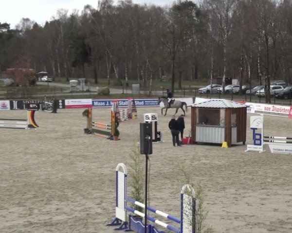 Reitturnier Westergellersen 2021