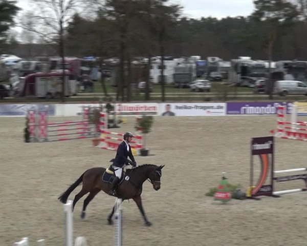 Reitturnier Westergellersen 2021