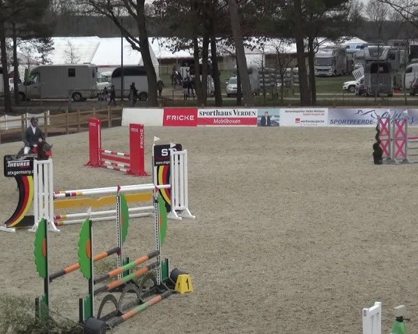 Reitturnier Westergellersen 2021