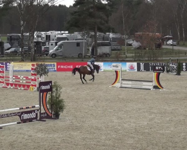 Reitturnier Westergellersen 2021