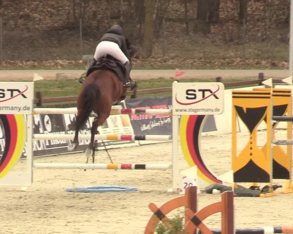 Reitturnier Westergellersen 2021
