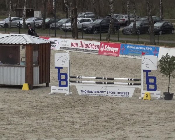 Reitturnier Westergellersen 2021