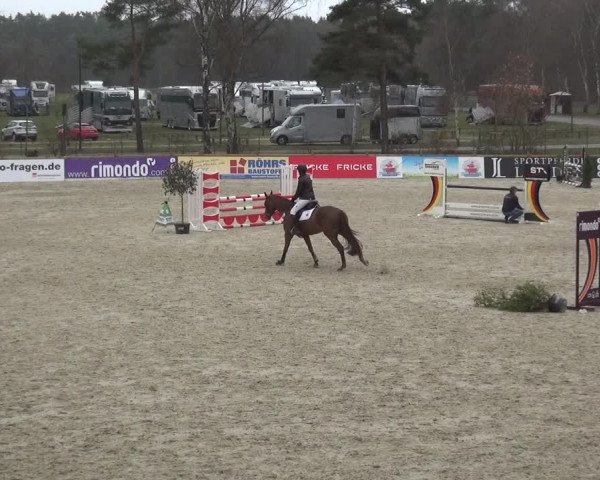 Reitturnier Westergellersen 2021