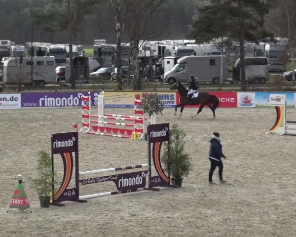 Reitturnier Westergellersen 2021