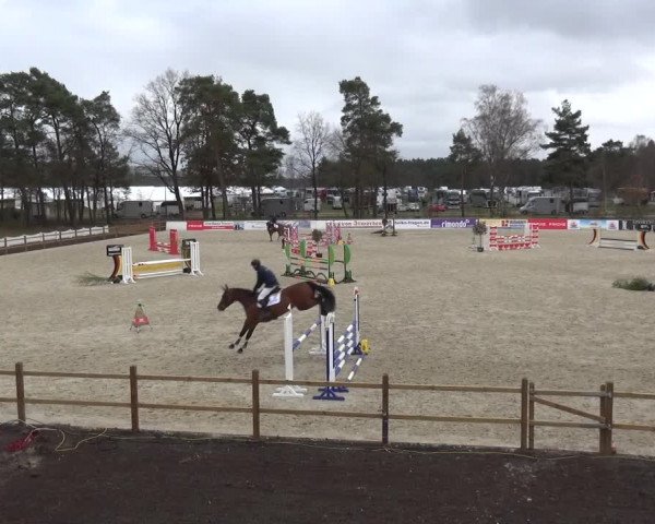 Reitturnier Westergellersen 2021