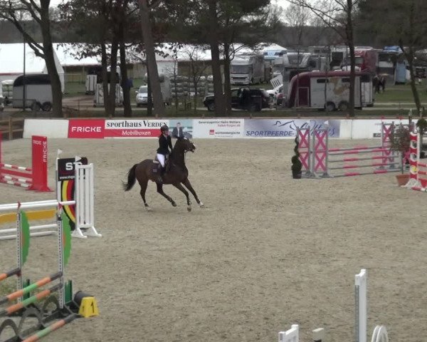 Reitturnier Westergellersen 2021