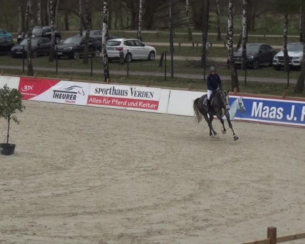 Reitturnier Westergellersen 2021