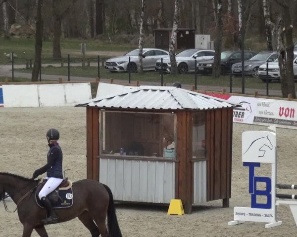 Reitturnier Westergellersen 2021