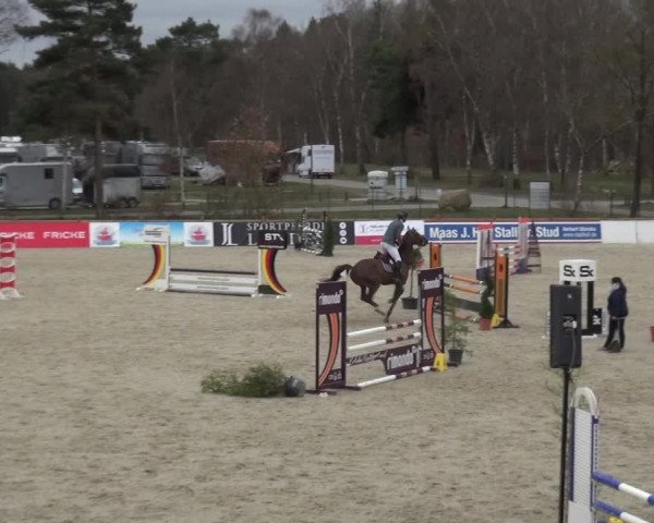 Reitturnier Westergellersen 2021