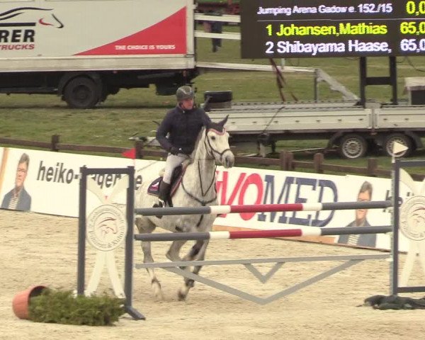 Reitturnier Westergellersen 2021