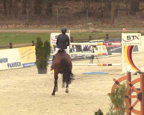 Reitturnier Westergellersen 2021