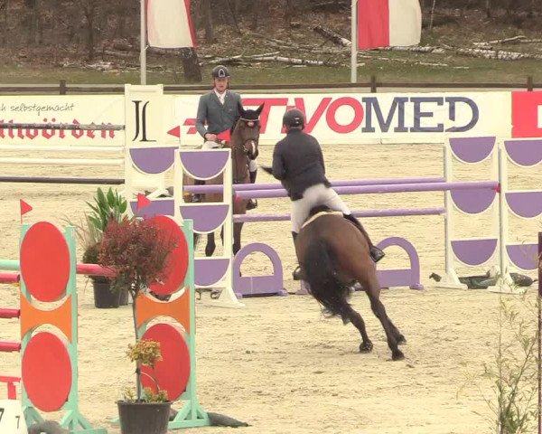 Reitturnier Westergellersen 2021