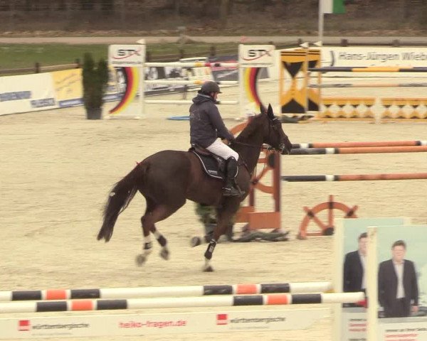 Reitturnier Westergellersen 2021