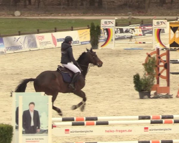 Reitturnier Westergellersen 2021