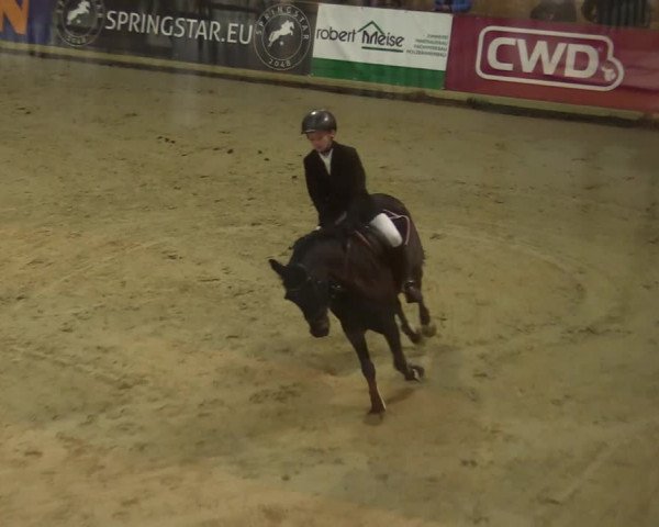 Steinhagen Classics 2021