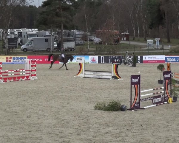 Reitturnier Westergellersen 2021