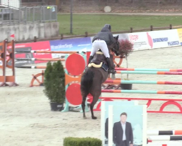 Reitturnier Westergellersen 2021