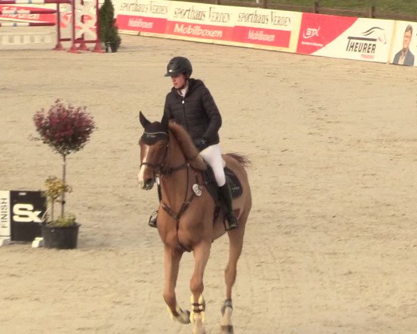 Reitturnier Westergellersen 2021
