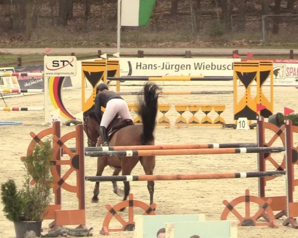 Reitturnier Westergellersen 2021