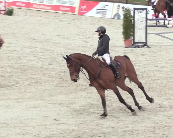 Reitturnier Westergellersen 2021