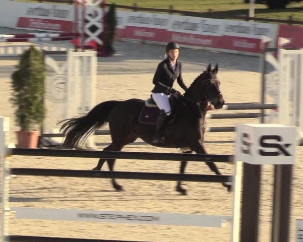 Reitturnier Westergellersen 2021