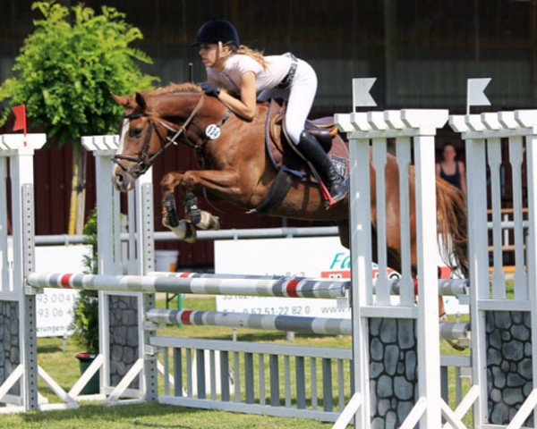 jumper Viola de Lesseps (Westphalian, 2009, from Van Heinrich)