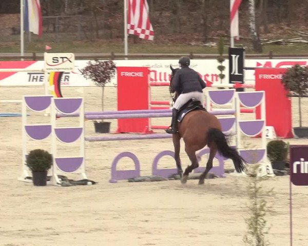 Reitturnier Westergellersen 2021