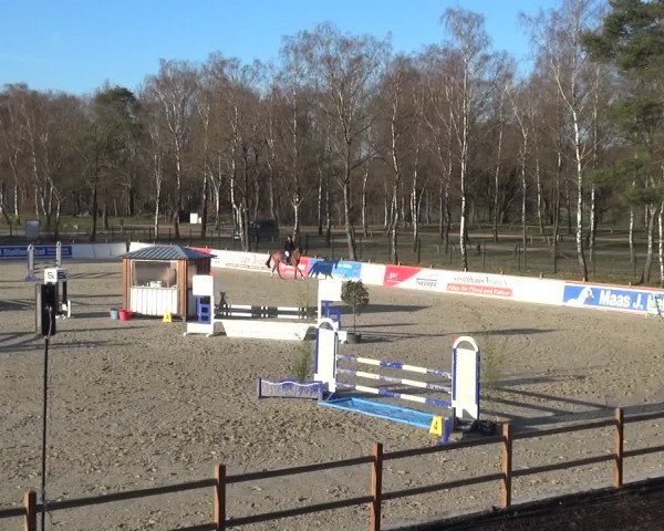 Reitturnier Westergellersen 2021
