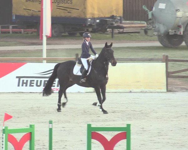 Reitturnier Westergellersen 2021