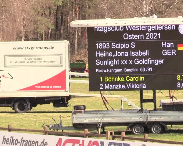 Reitturnier Westergellersen 2021