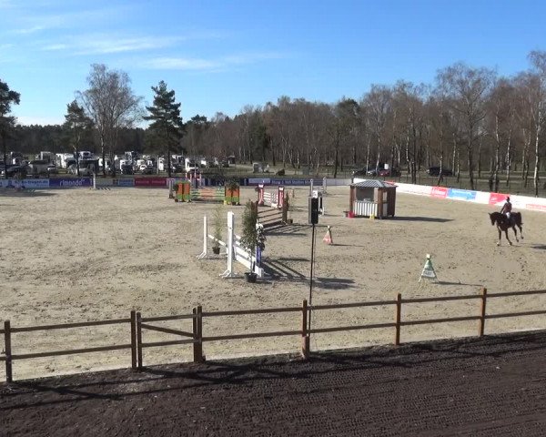 Reitturnier Westergellersen 2021