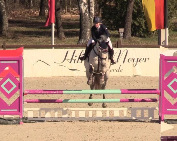 Reitturnier Westergellersen 2021