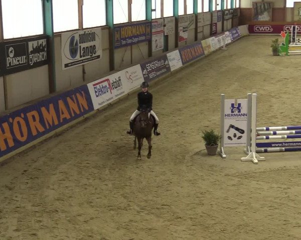 Steinhagen Classics 2021
