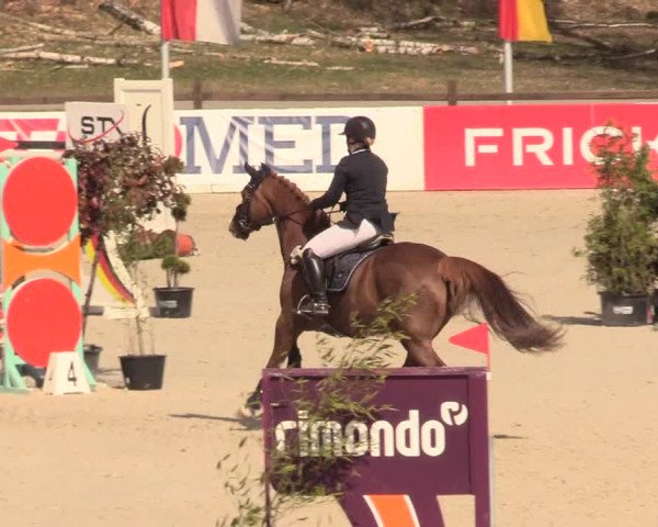 Reitturnier Westergellersen 2021