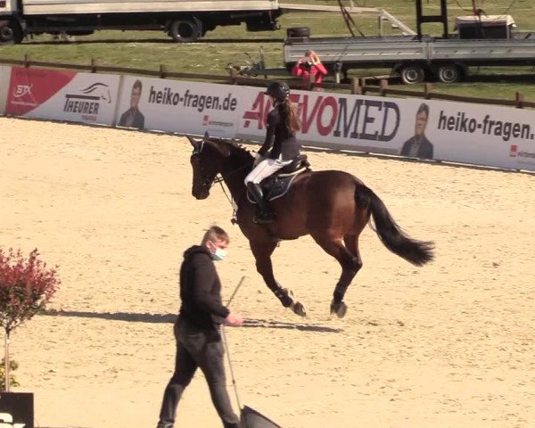 Reitturnier Westergellersen 2021