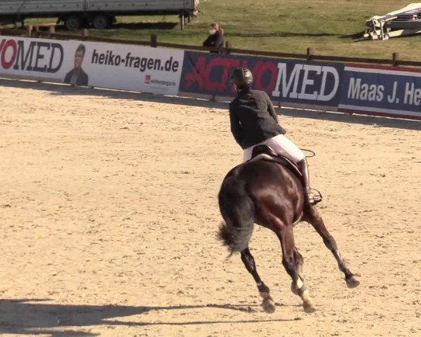 Reitturnier Westergellersen 2021