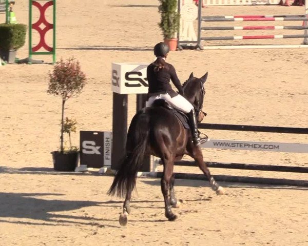 Reitturnier Westergellersen 2021