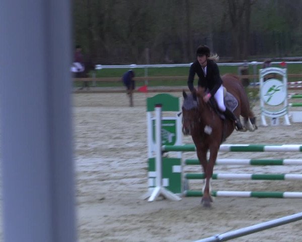 Reitturnier Oelde 2021