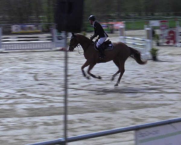 Reitturnier Oelde 2021