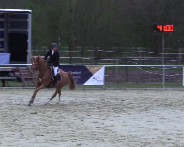Reitturnier Oelde 2021