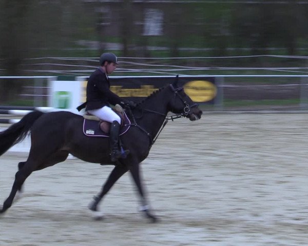 Reitturnier Oelde 2021